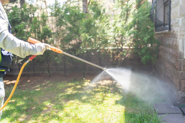 Best Seasonal Pest Control (e.g., summer mosquitoes, winter rodents)  in Uniondale, NY